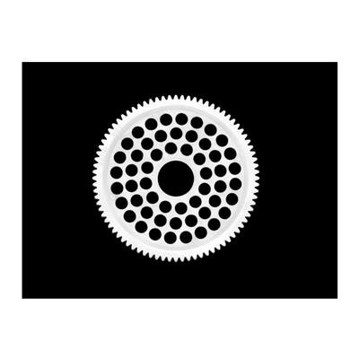 ARROWMAX Super Diff Gear 48P 80t