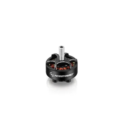 Hobbywing Xrotor 2207 D28x19 D5 1980kv 6s Lipo - 30418010