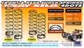 Xray Front Spring 69mm - 4 Dot (2), X358316 - 358316